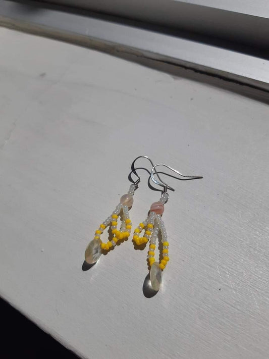 Chamomile mini with white disks